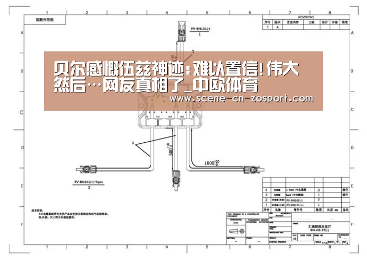 中欧体育平台