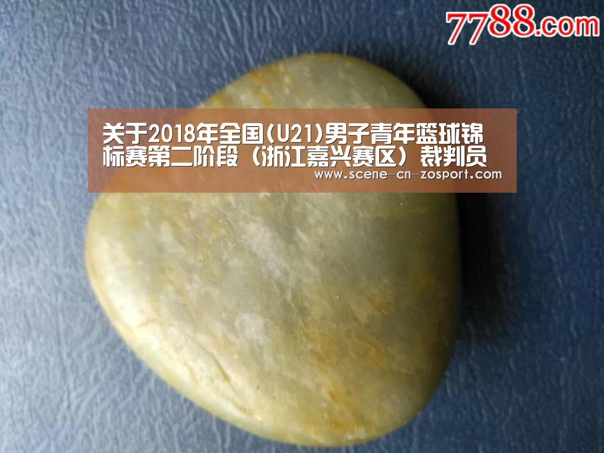 zoty体育