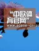 中欧体育平台