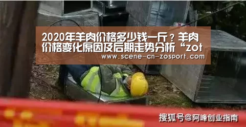 2020年羊肉价格多少钱一斤?羊肉价格变化原因及后期走势分析“zoty体育”(图1) zoty体育