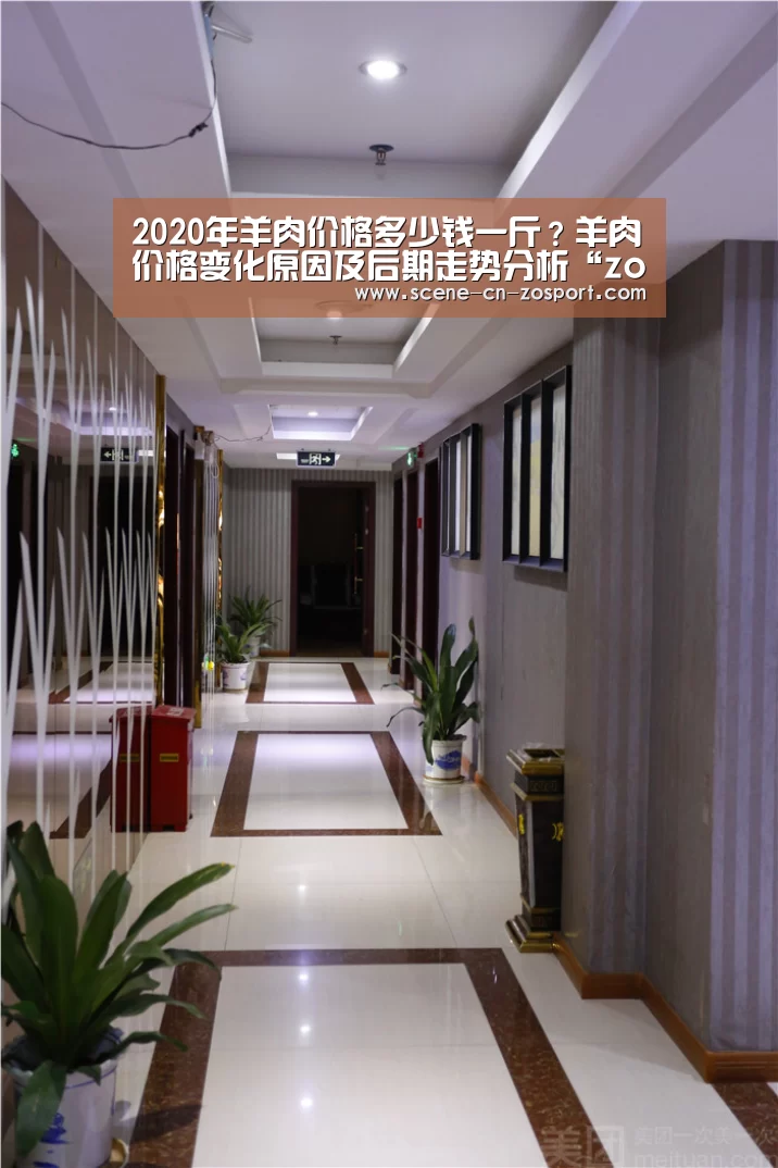 2020年羊肉价格多少钱一斤?羊肉价格变化原因及后期走势分析“zoty体育”(图2) 中欧体育平台