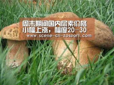 周末期间国内尿素价格小幅上涨,幅度20-30元/吨(附肥价)-中欧体育(图4) zoty体育