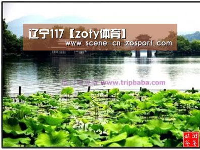 辽宁117【zoty体育】(图1) zoty体育